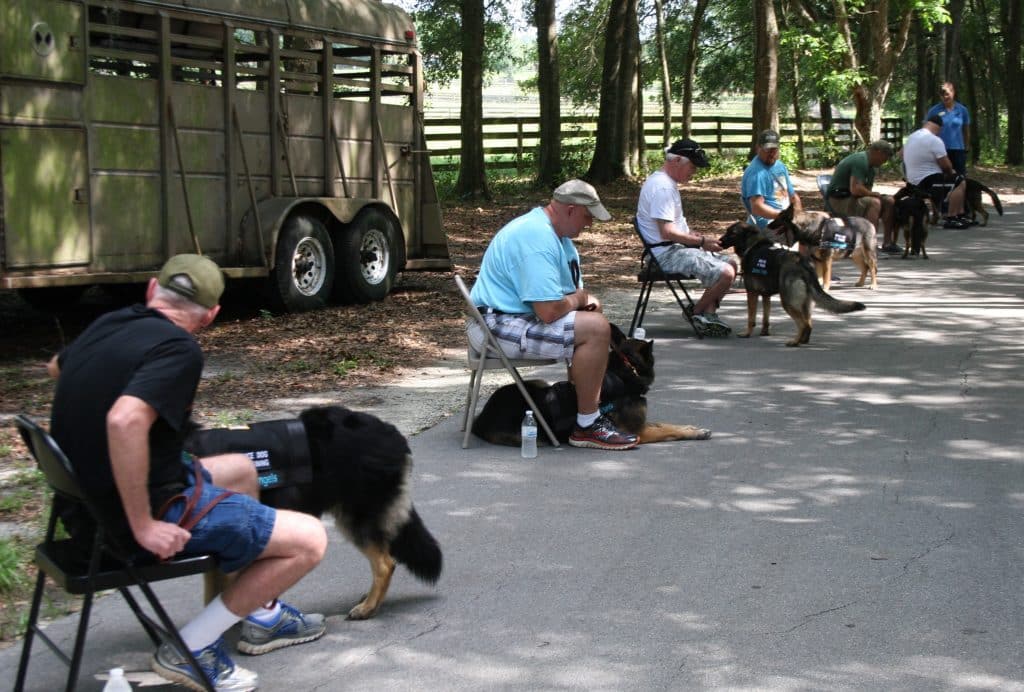 Beyond the Leash: The Unseen Costs of Training a Medical Service Dog